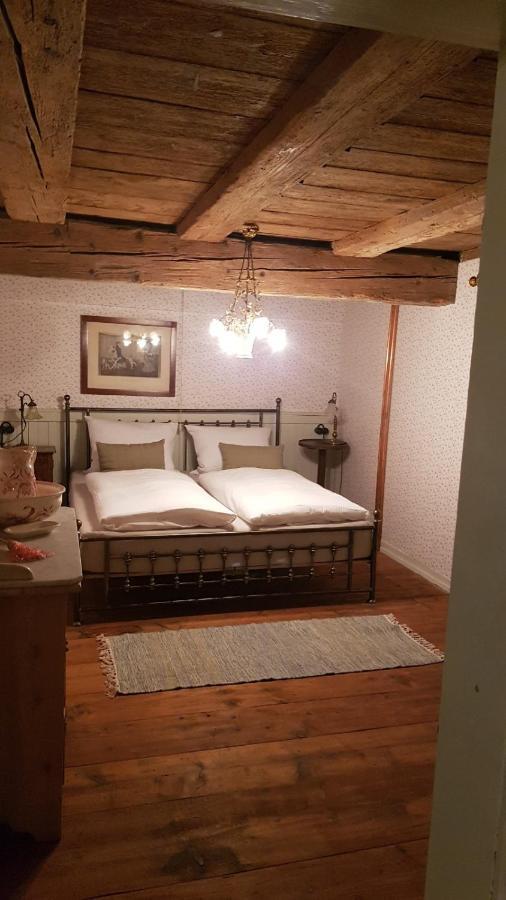 Historisches Fachwerkhaus "Hoher Hirschen" - Stilvolles Studio Und Museales Apartment Mit Romantischem Hof Und Garten 博德曼路德维希港 外观 照片