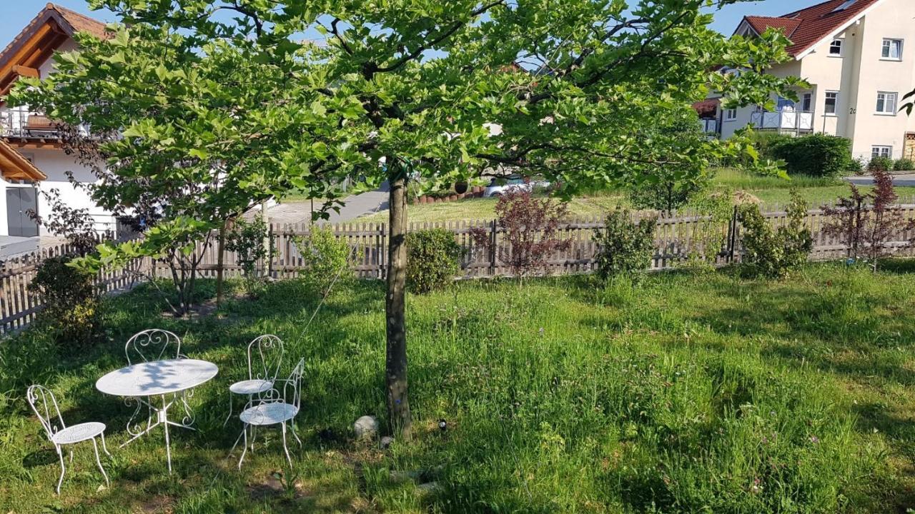 Historisches Fachwerkhaus "Hoher Hirschen" - Stilvolles Studio Und Museales Apartment Mit Romantischem Hof Und Garten 博德曼路德维希港 外观 照片