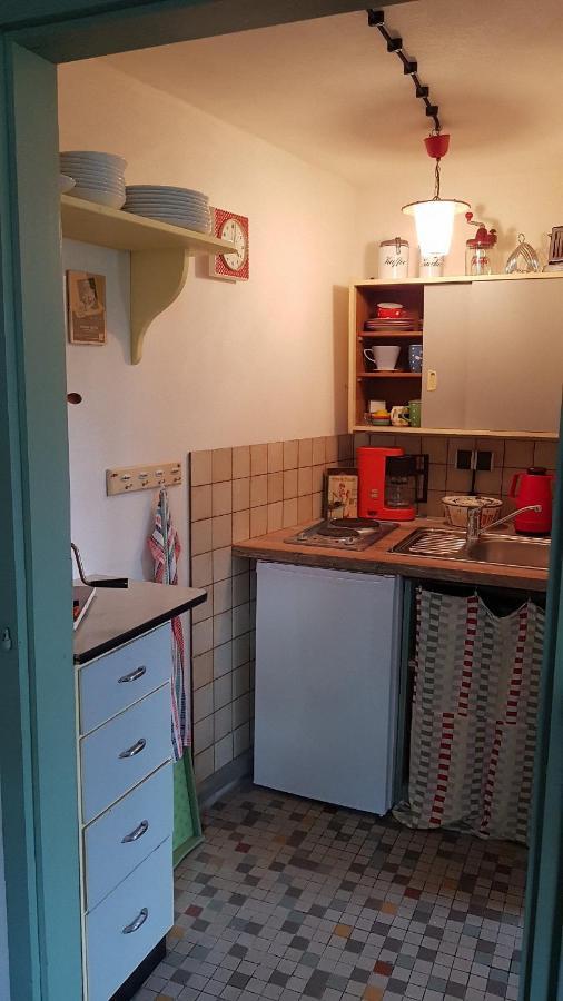 Historisches Fachwerkhaus "Hoher Hirschen" - Stilvolles Studio Und Museales Apartment Mit Romantischem Hof Und Garten 博德曼路德维希港 外观 照片