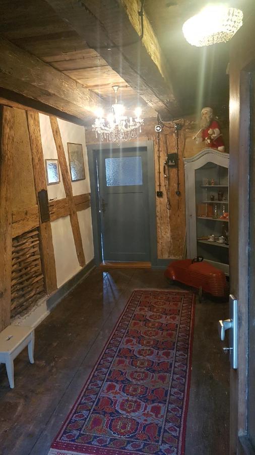Historisches Fachwerkhaus "Hoher Hirschen" - Stilvolles Studio Und Museales Apartment Mit Romantischem Hof Und Garten 博德曼路德维希港 外观 照片